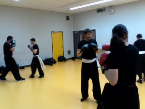 hunggarnancy-artsmartiaux-wushu-kungfu-entrainement-combat-5janvier2015-3      